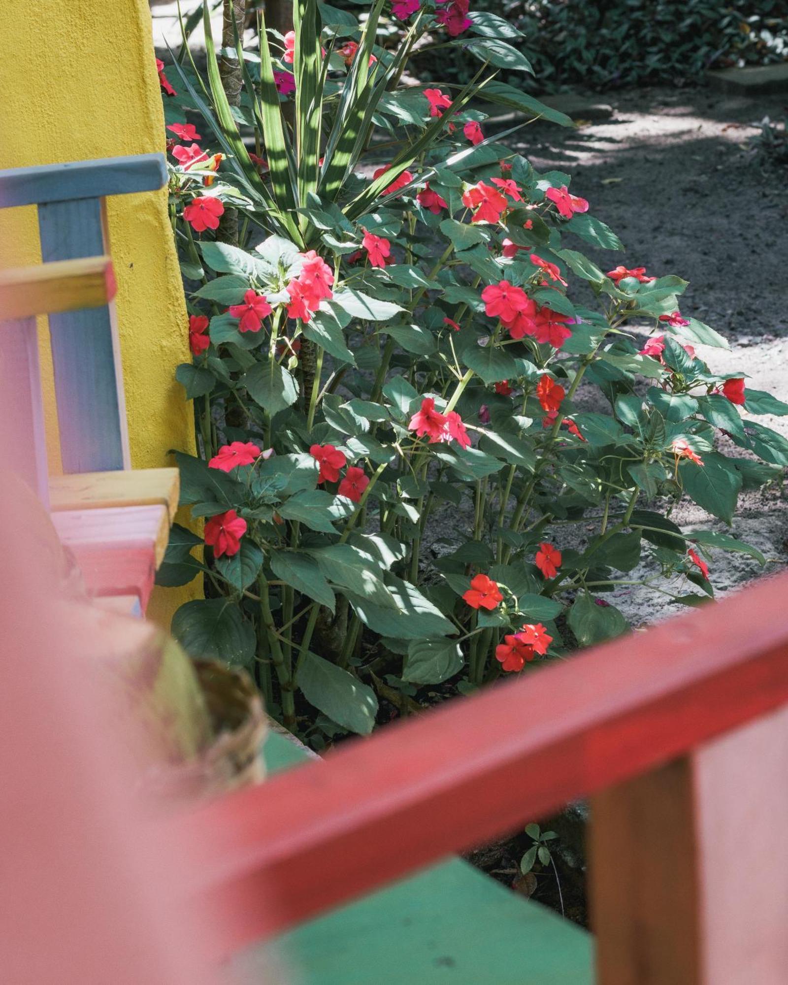 Hotel Butterfly House Bahia Maraú Exterior foto