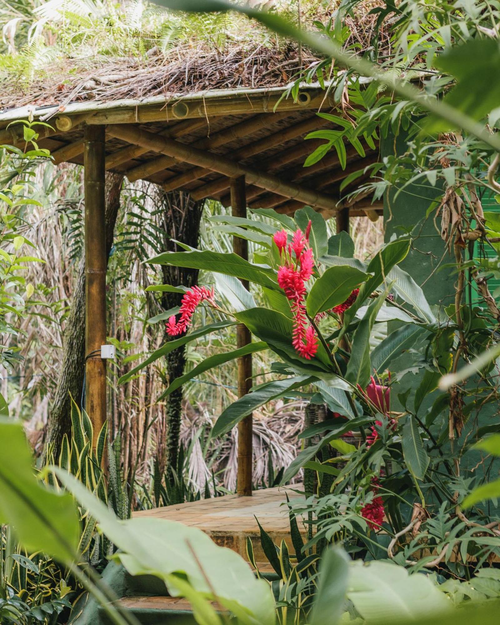 Hotel Butterfly House Bahia Maraú Exterior foto